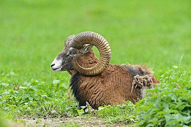 2024年IEM中国站落户成都 4月8日开始