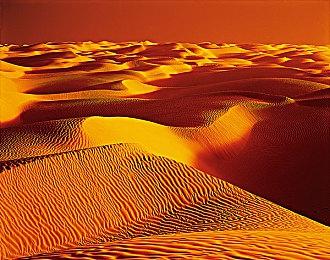 与《生化危机》二次联动！《黎明杀机》新章节“W计划”今日发售